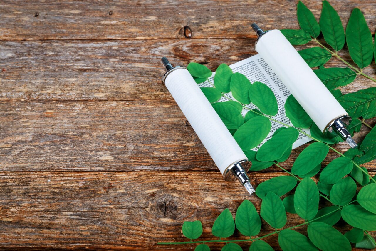 Lipiturile și etanșanții ecologici: alternativă la produsele chimice